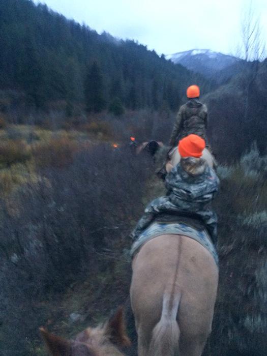 The ride in to locate moose