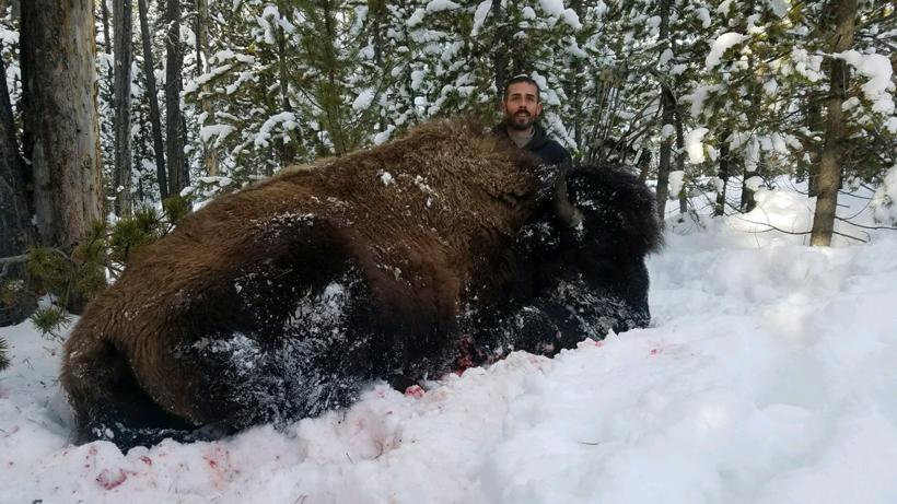 Tj with his 2017 montana bison