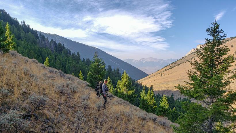 Steep terrain archery elk hunting