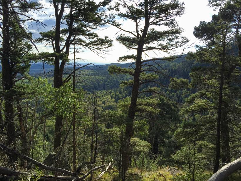 Elk hunting terrain_0