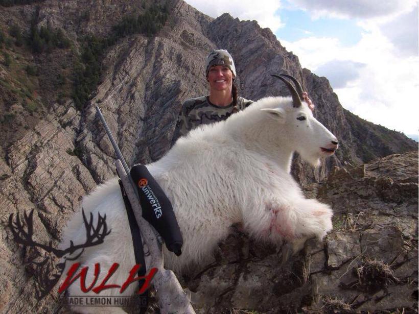 Utah mountain goat