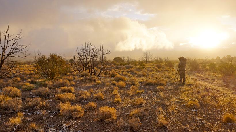 Greg krogh glassing for mule deer