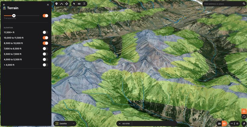 Mule deer escouting 1