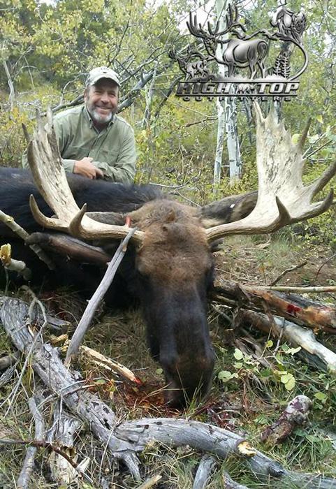 Utah shiras moose taken with high top outfitters