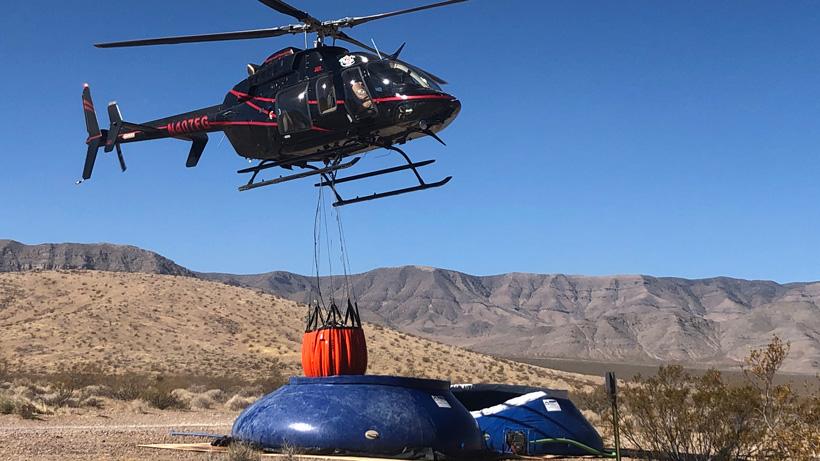 Nevada performs emergency water hauls to guzzlers in order to save bighorn sheep population - 2