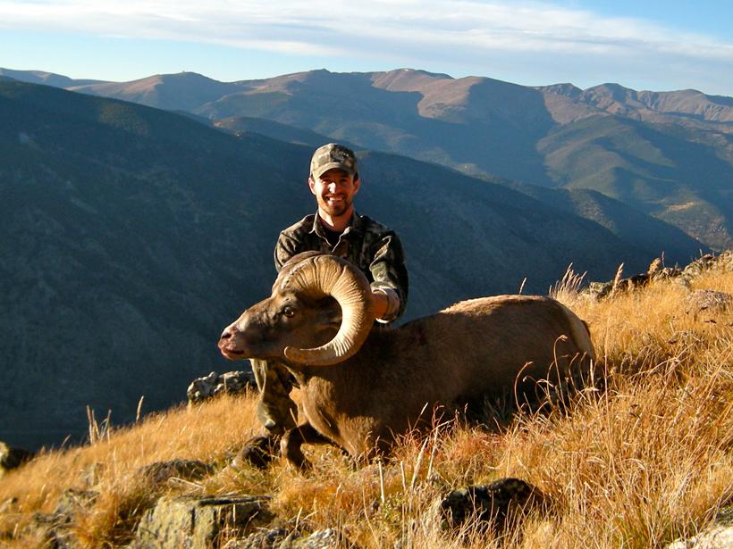 APPLICATION STRATEGY 2015: Colorado sheep, moose, goat - 1d