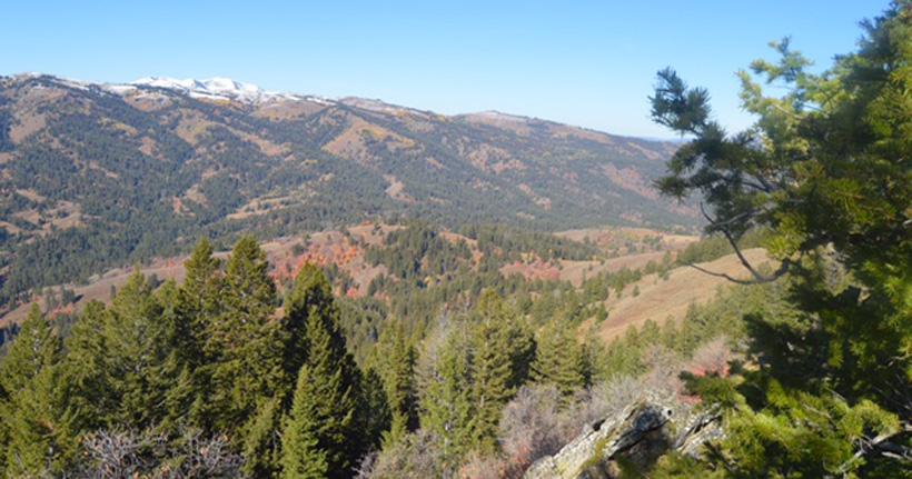 Idaho backcountry elk hunting scenery