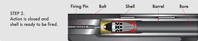 Step2 how shotgun shell fired