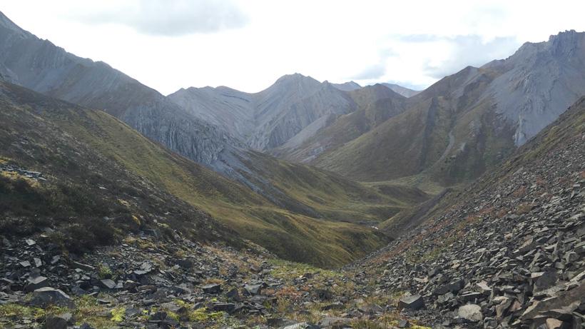 Mountain terrain for dall sheep