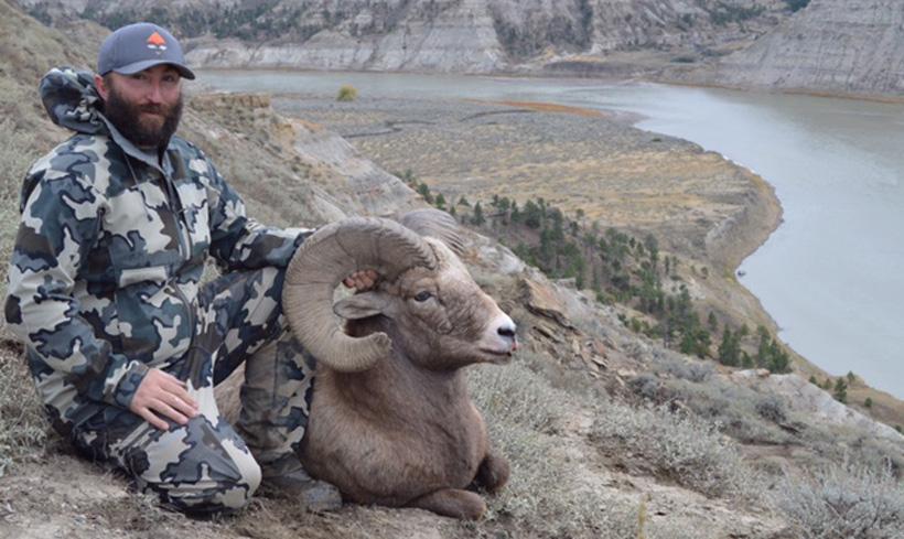 2016 matt enrooth montana bighorn sheep side view