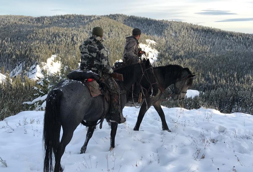 Checking for new elk country