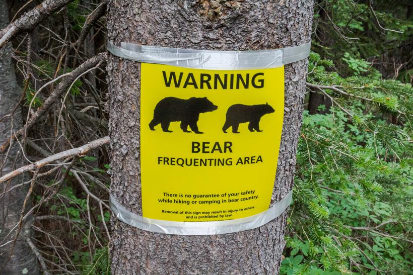 Grizzly bear warning sign