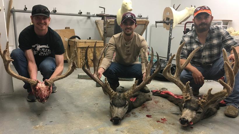 Colorado muzzleloader bucks back at the taxidermist