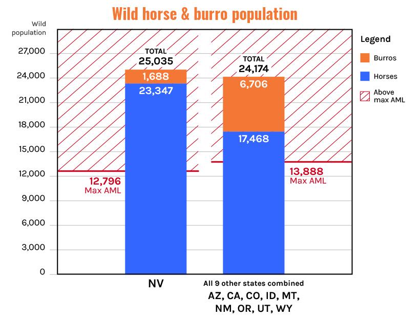 Western wild horse and burro population