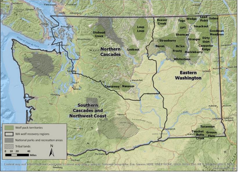 Washington considers expanding wolf recovery area - 0
