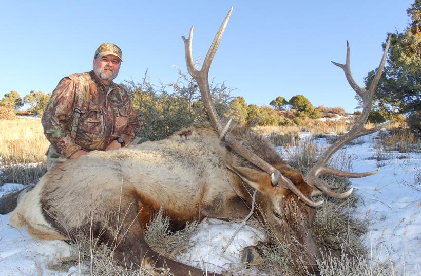 New mexico bull elk taken with milligan brand