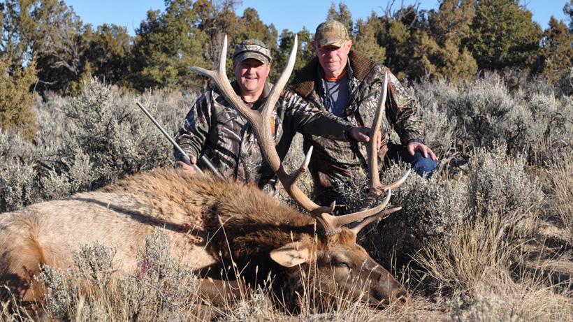 APPLICATION STRATEGY 2018: New Mexico Elk - 6d