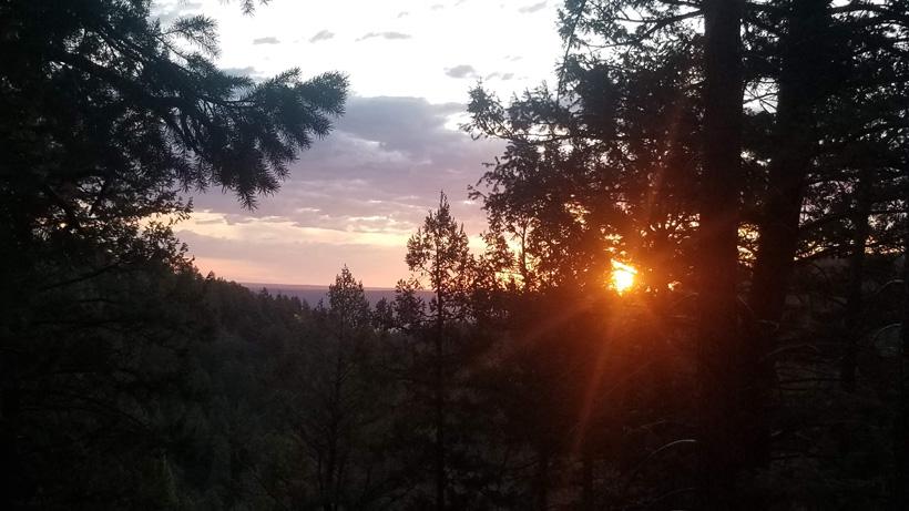 Emergency plan horton