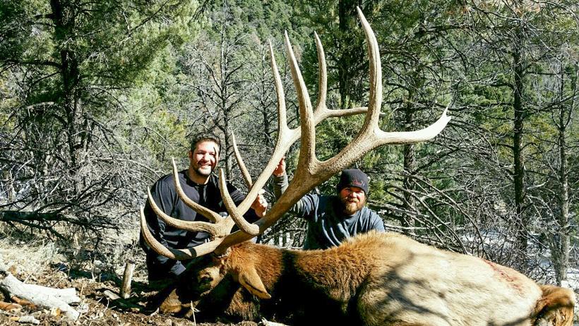 APPLICATION STRATEGY 2016: Nevada Deer, Elk, Antelope - 4d