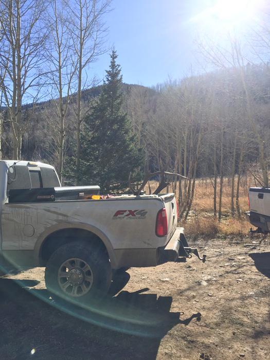 Colorado bull elk loaded in the back of a truck