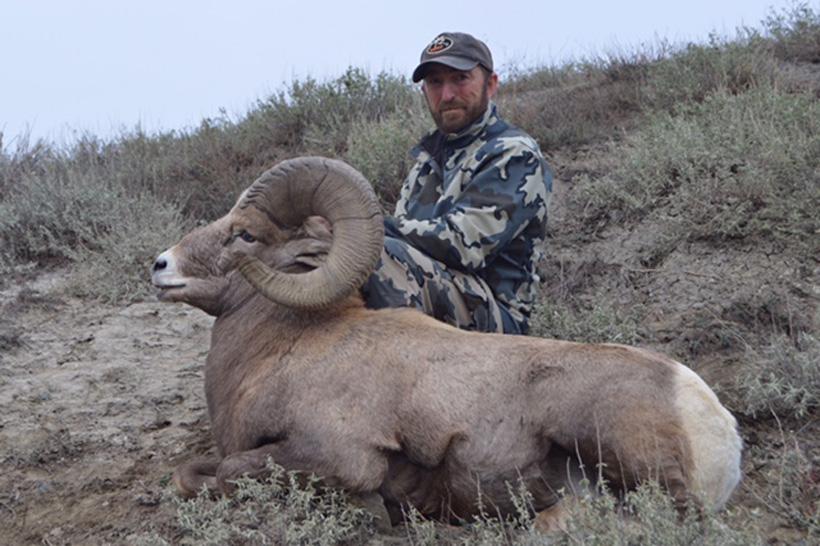 An unforgettable Montana breaks sheep hunt - 8