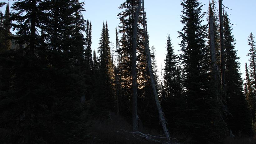Northwest montana sunset