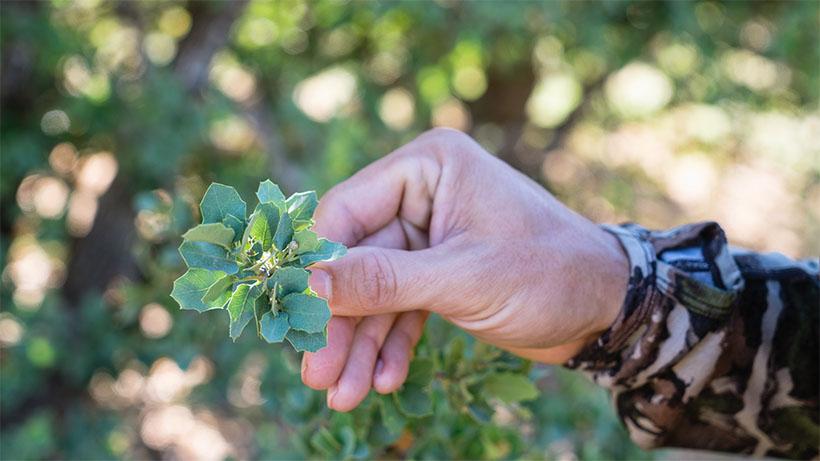 Five things to do on scouting trips besides look for animals 2