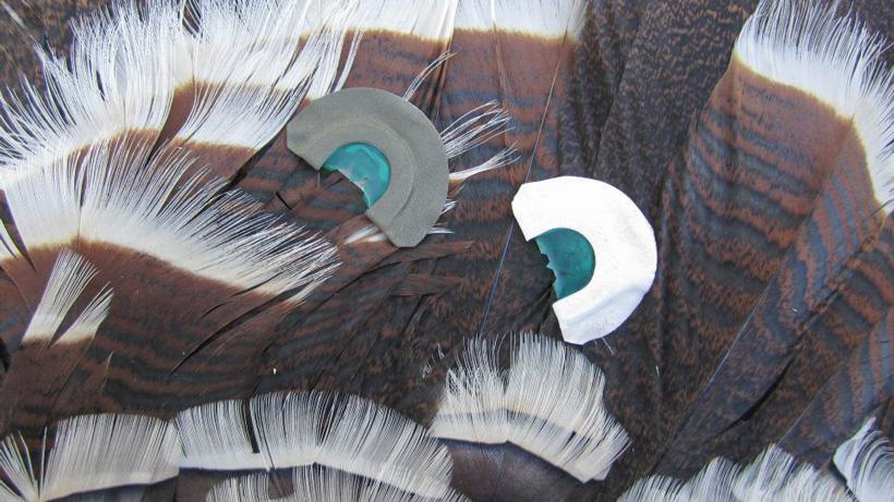 Carry lots of turkey calls