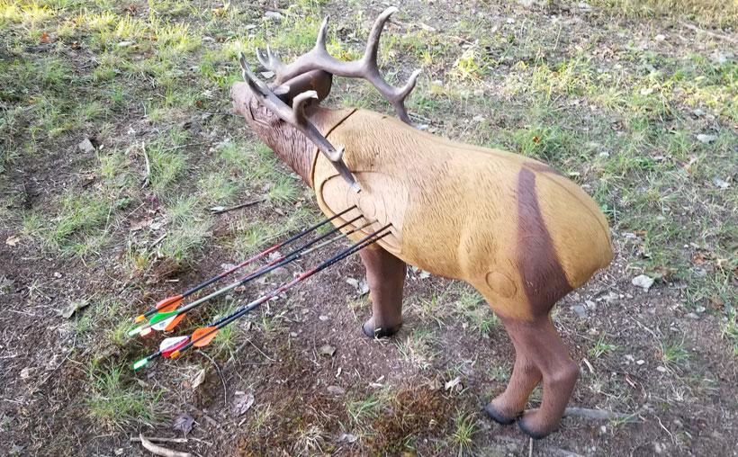 Lessons learned from a 2020 archery elk hunt — part 1 - 4d