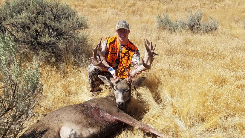 Jakes washington mule deer
