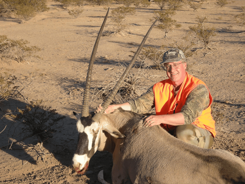 New mexico oryx 3