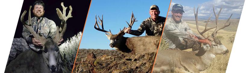 How to apply for Nevada’s 2017 mule deer guided draw - 5d