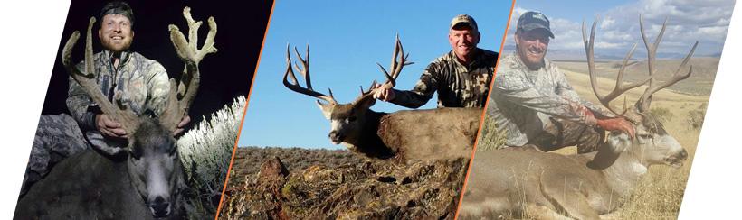 Nevada outfitters 2016 mule deer harvest photo sample