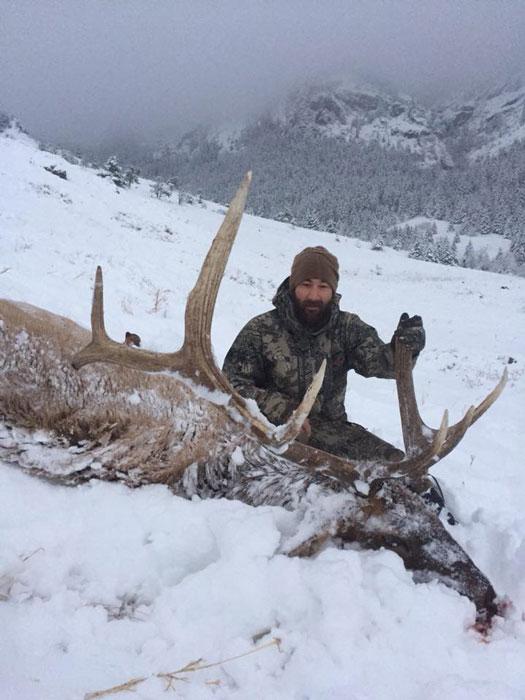 Bull elk in the snow taken with northern rockies outfitters