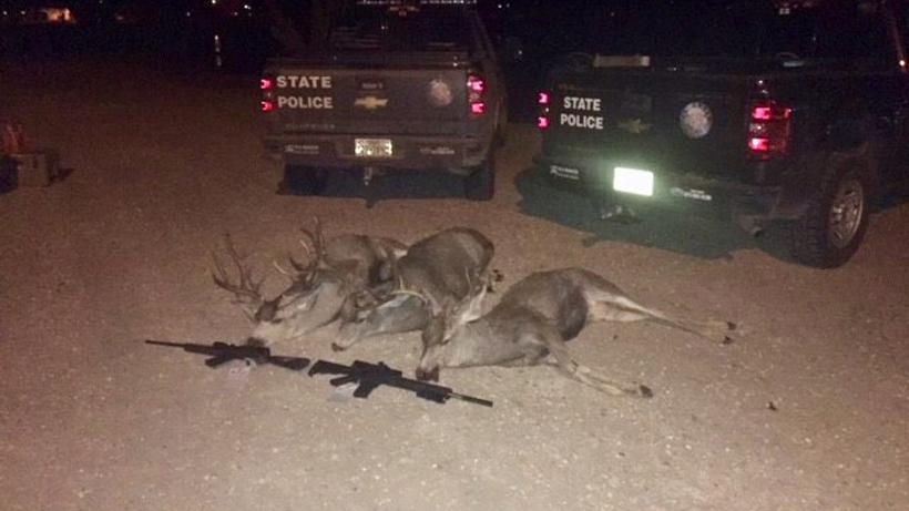 Two Texas men charged with poaching three mule deer - 0