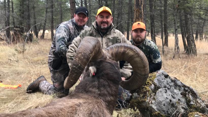 Bighorn sheep hunt 8
