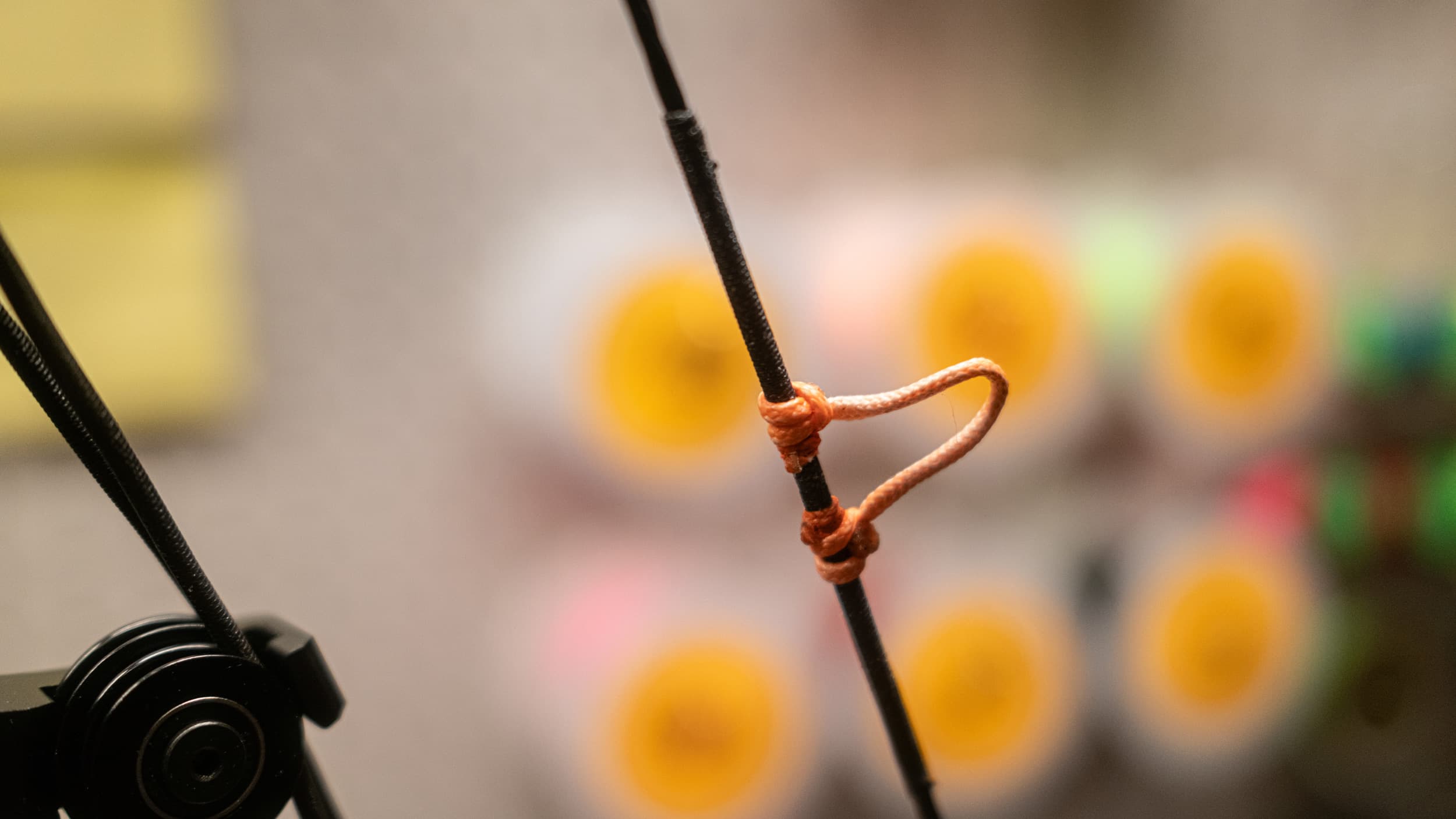 Check d-loop and center serving on bow string before hunt
