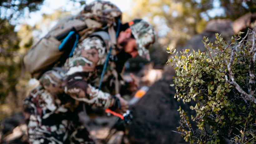 Tips for blood trailing 2