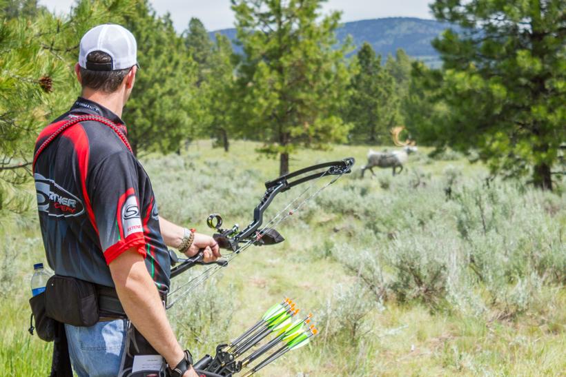 Archery target practice