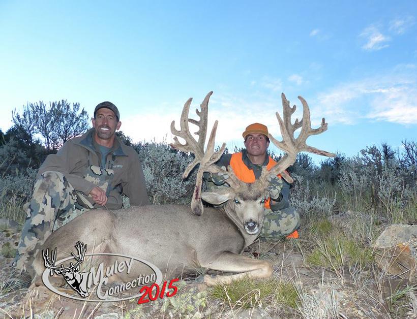 Bowdy gardner 2015 colorado governors tag mule deer