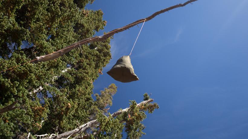 Bear canisters food sacks while hunting 3