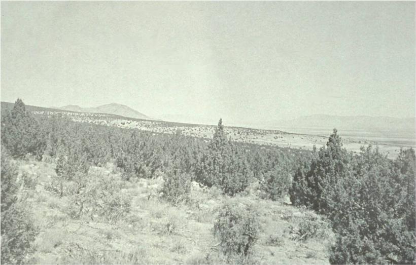 Stansbury mountains 1976