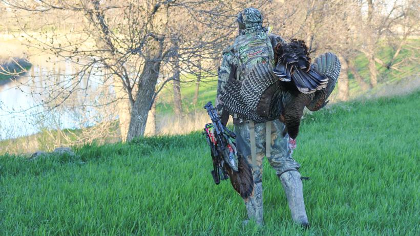 The 30 minute turkey hunting technique - 8d