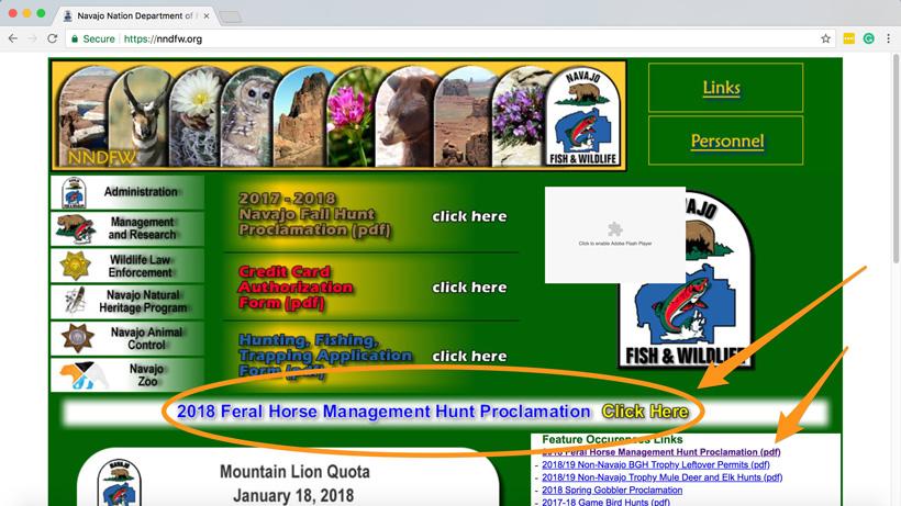 Navajo nation horse hunt open