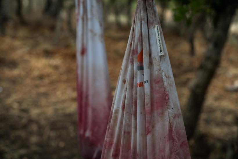 Gohunt caribou gear game bags in tree