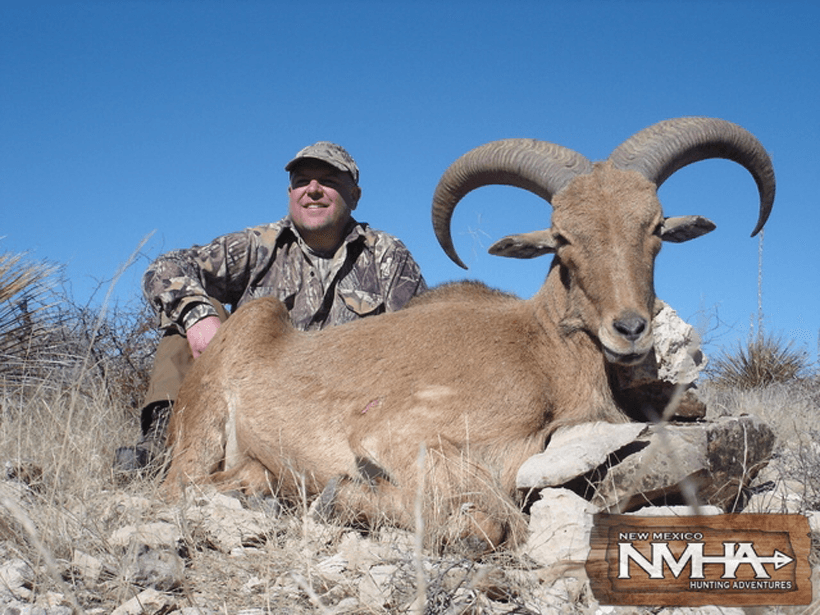 APPLICATION STRATEGY 2015: New Mexico sheep and exotics - 5d