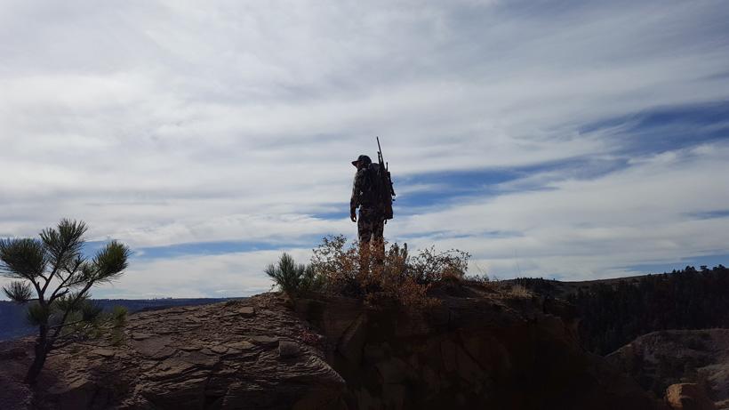 Checking out the views of sheep country