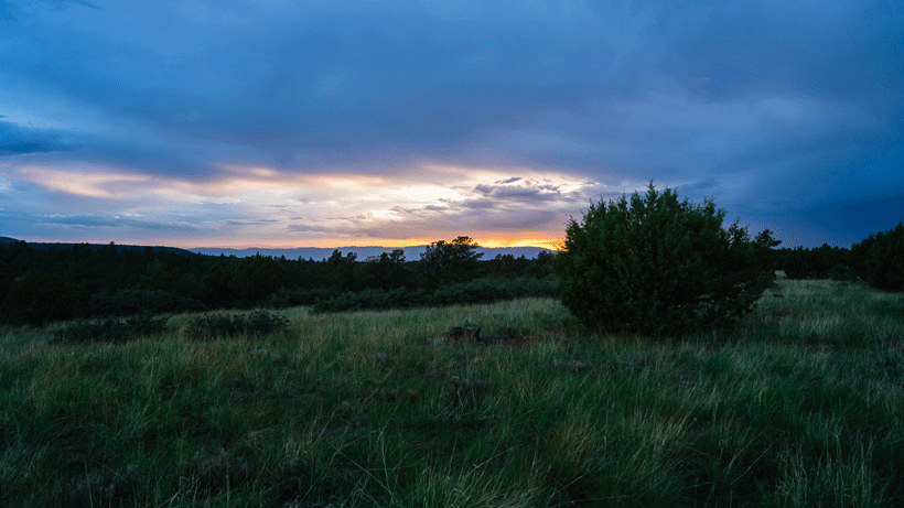 Bowhunting sunset.gif