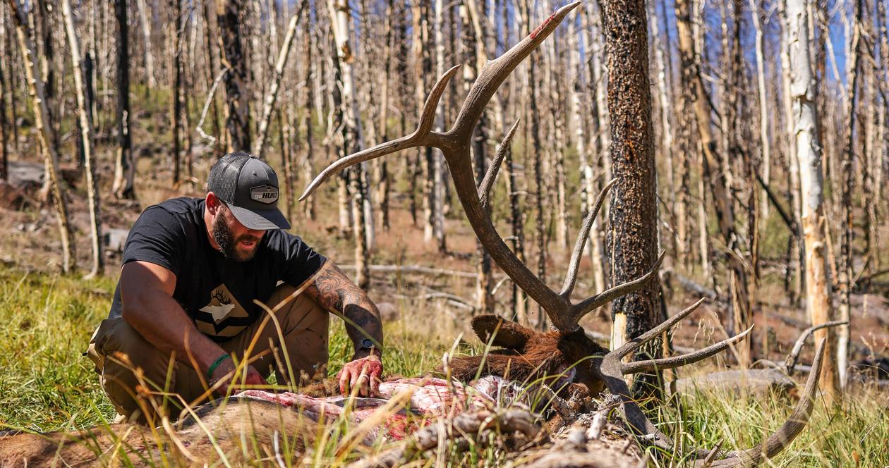How to care for wild game meat in the field and get it home safely
