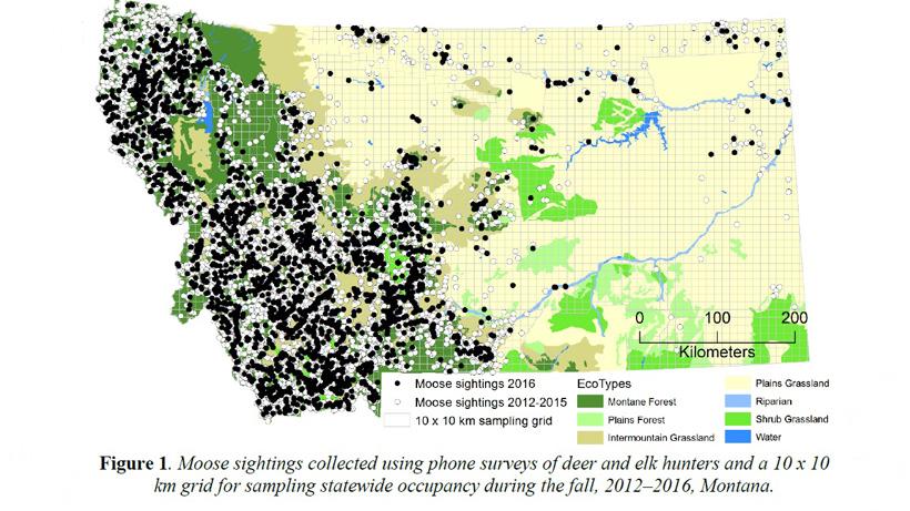 Number of mt moose sightings from 2017 report
